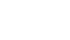 LEKDEDVIP